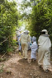 Company of kids in protective costumes in apiary
