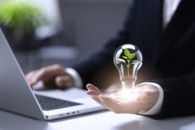 Business Ecology and Marketing Strategy Analysis