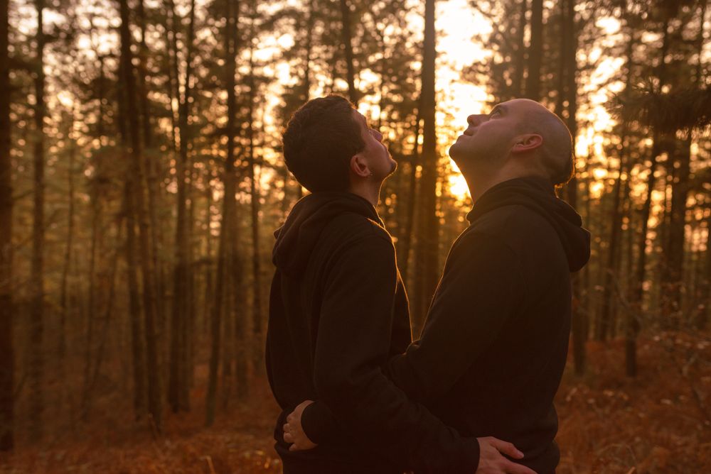 Men hugging in forest at sunset