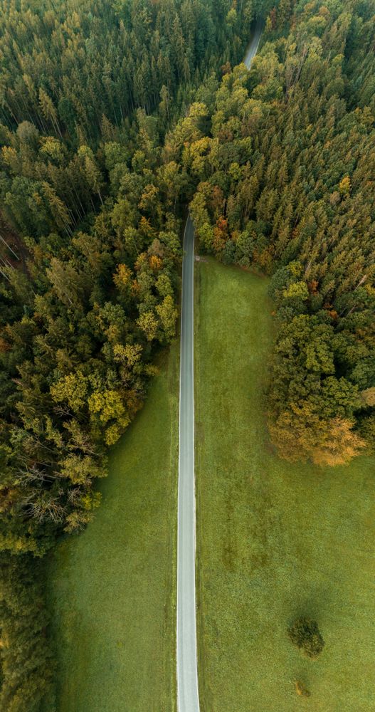 Drone vertical panorama with road going into the forest.