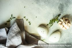 Top view of salt and pepper shakers and garlic on marble background with copy space 5zrj3k