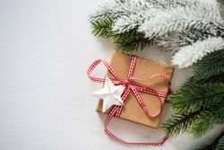Ribbon wrapped Christmas gift with branch
