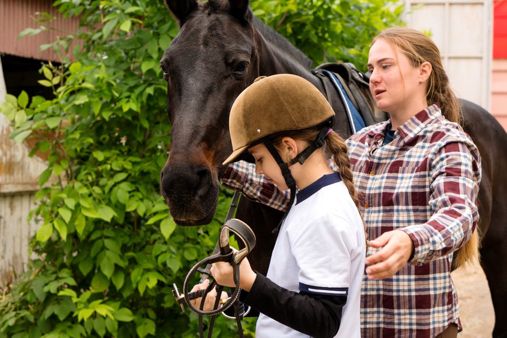 Young rider assisting with bridle adjustment on horse outdoors.