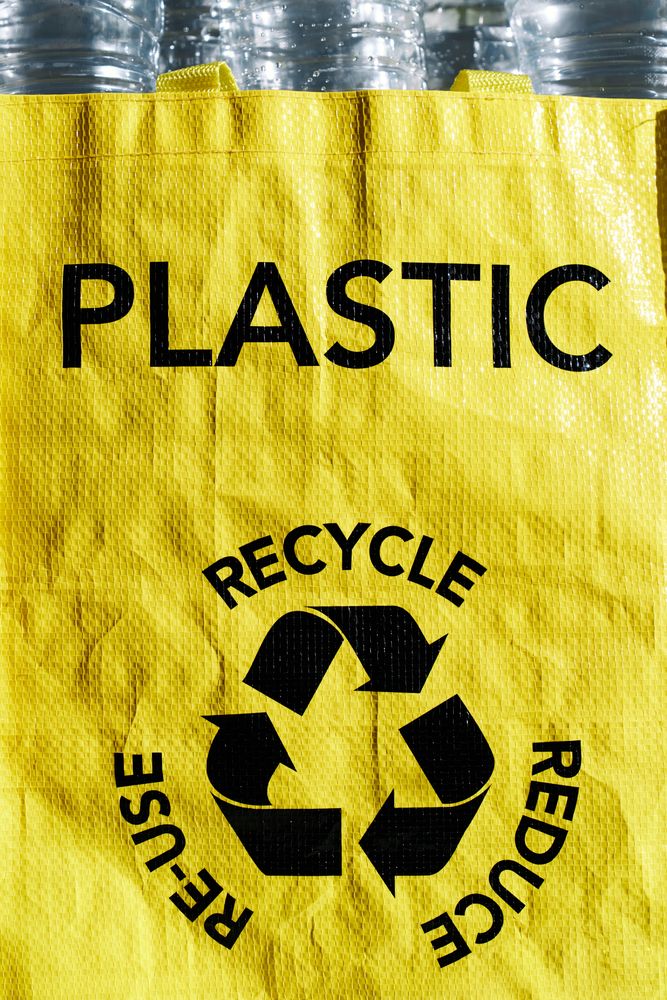 Bag for collecting separating trash for recycling