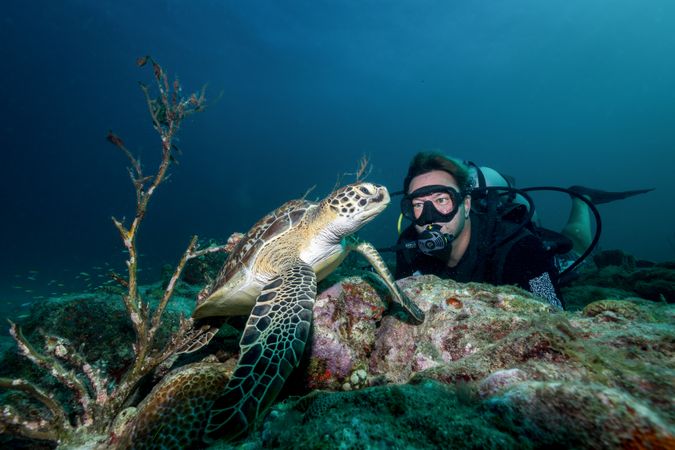 Free diver swimming underwater with big turtle in ocean