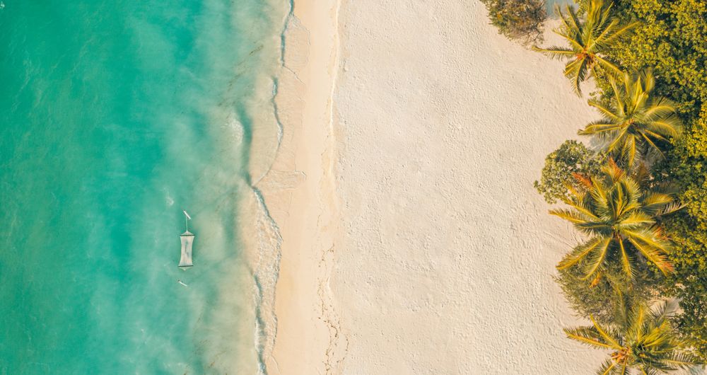 Aerial shot of beach with clear water and palm trees