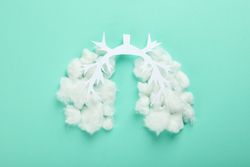 Lung bronchus made of paper and cotton on mint green background