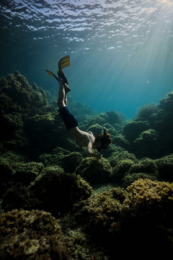 Male diver exploring corals underwater