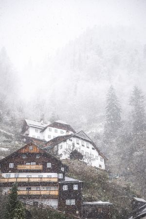 Alpine village on a snowing day, vertical