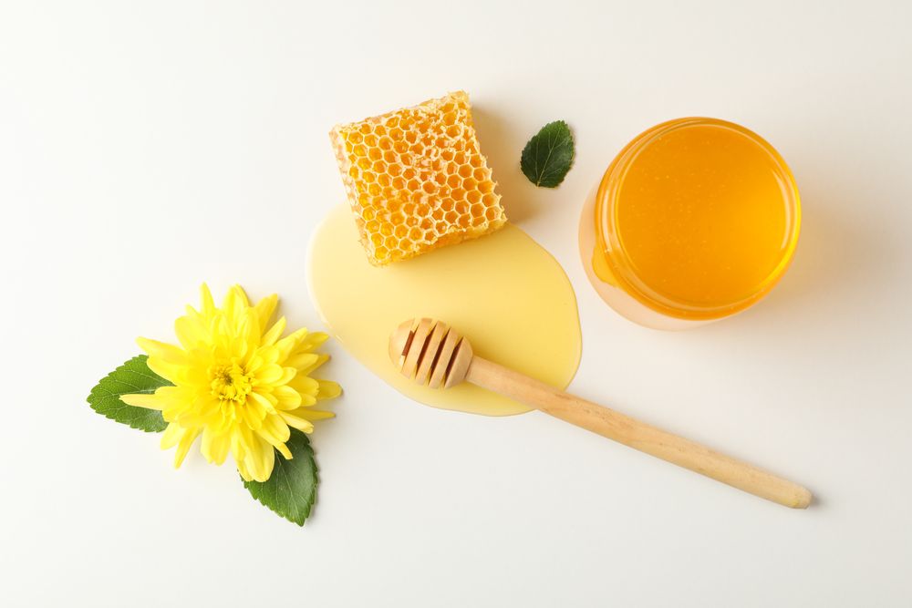 Honeycomb, dipper, jar with honey and flower on neutral background, top view