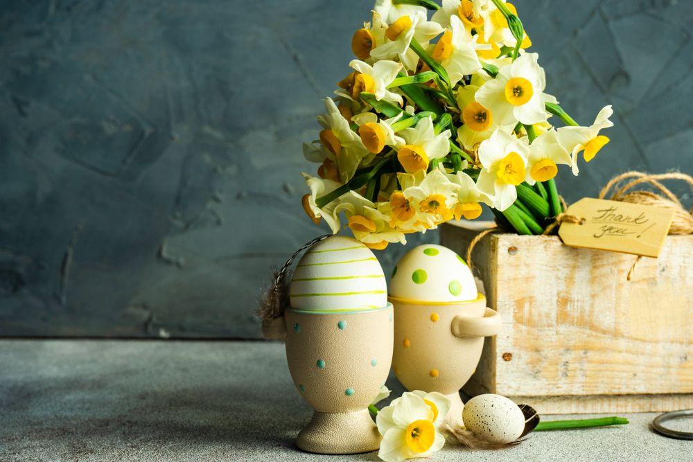 Side view of Easter floral card concept with daffodils and egg cups