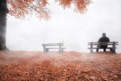 Man on bench shrouded by mist in autumn decor