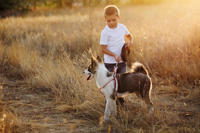 Cute boy with dog on a leash in nature