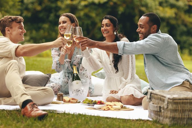 Group of beautiful people sitting at a picnic and toasting drinks