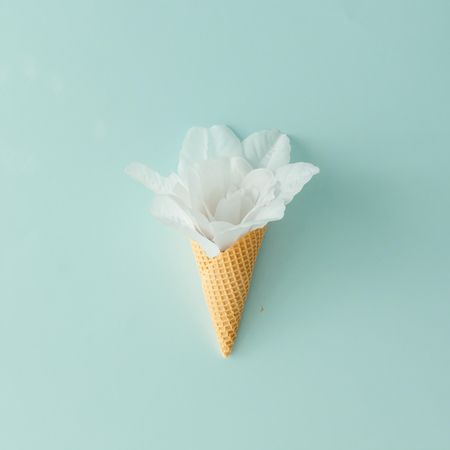 Flower in waffle cone on blue background