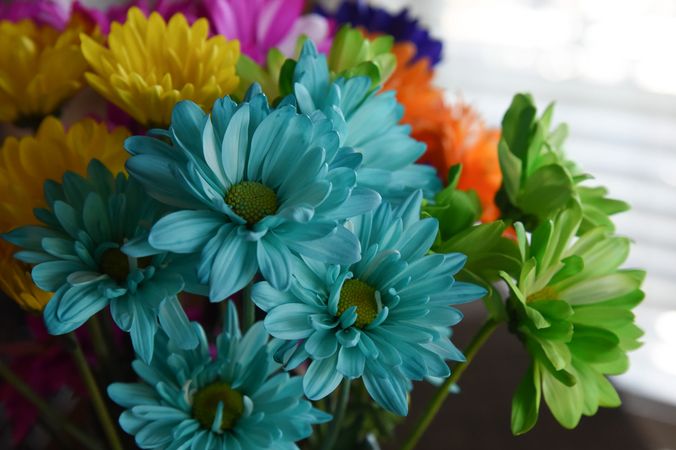 A bouquet of colorful flowers