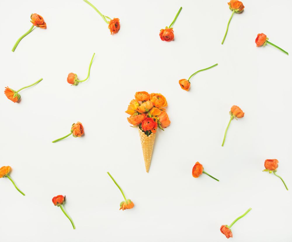 Spring or summer sweet treat concept