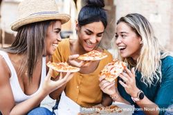 Diverse group of female friends enjoying take away pizza outside 56XzNb