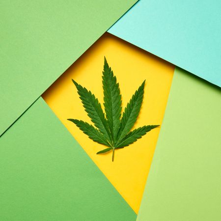 Cannabis leaf surrounded by layered green paper