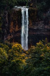 Water fall going over rocks into green and yellow vegetation, vertical