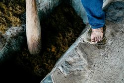 Adult man pressing organic material into cemented ditch