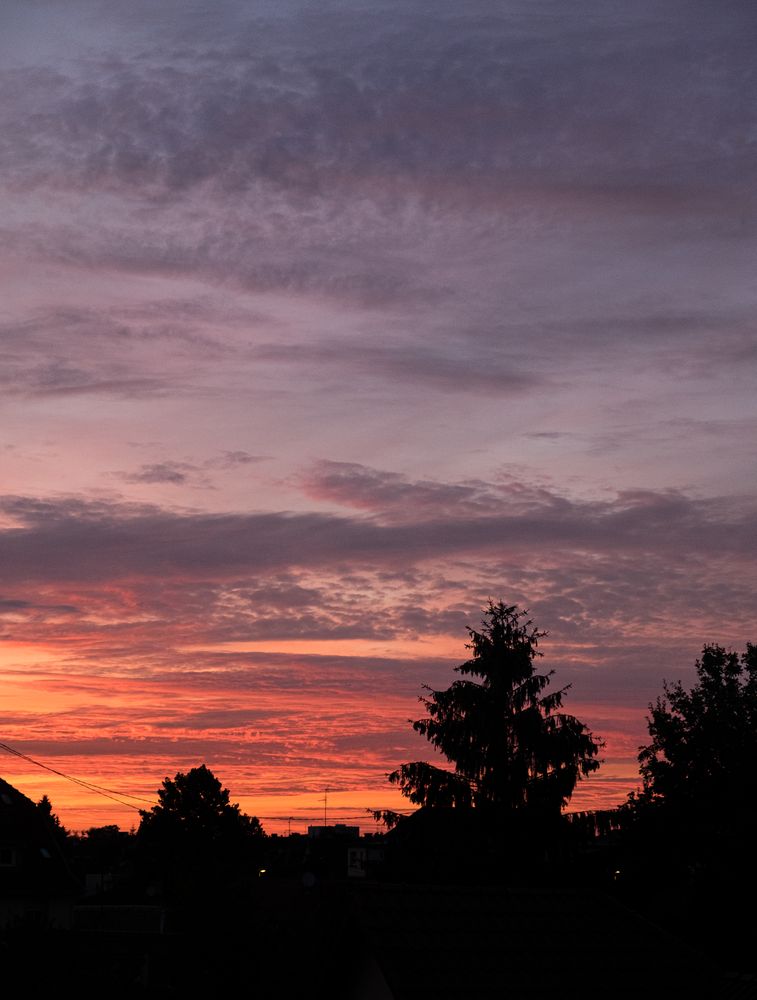 Dark orange sky at sunset, vertical