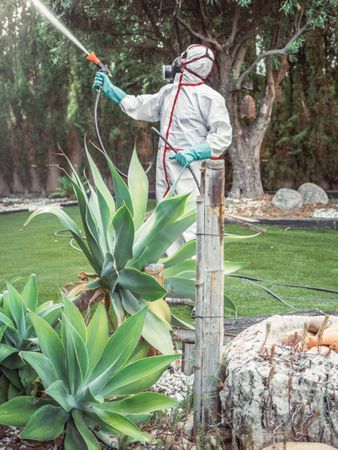Fumigator in uniform spraying substance on garden