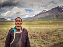 Tibet - August, 29 2014: Tibetan shepherd near cows in valley