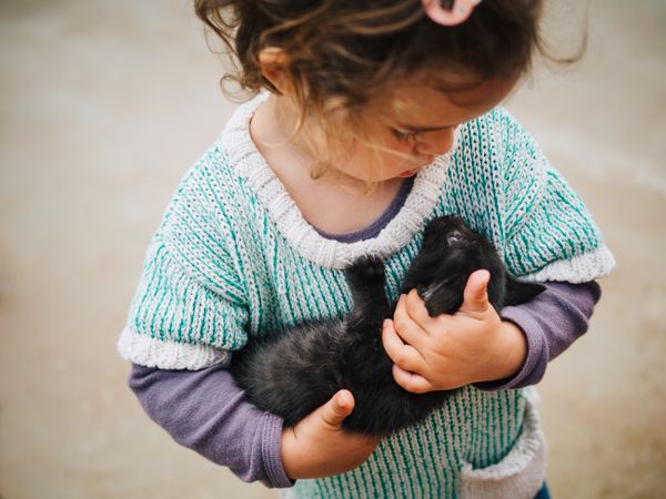 cute little girl holding a pussycat