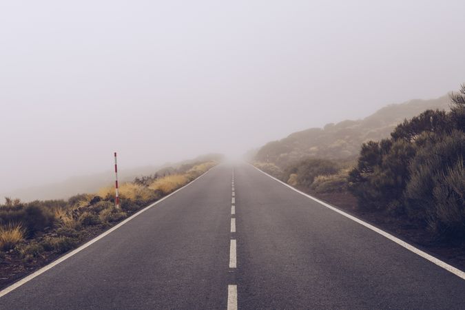 Empty road through woodland in overcast day