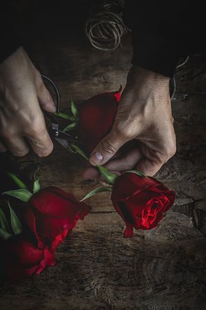 Unrecognizable woman making a bouquet of red roses