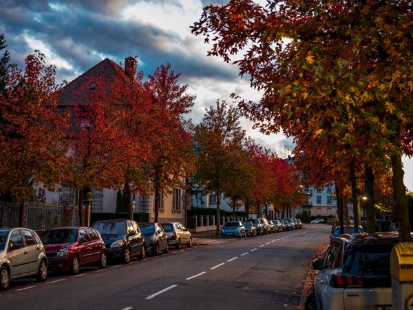 Autumn colors in the city of Strasbourg. Yellow, red, orange