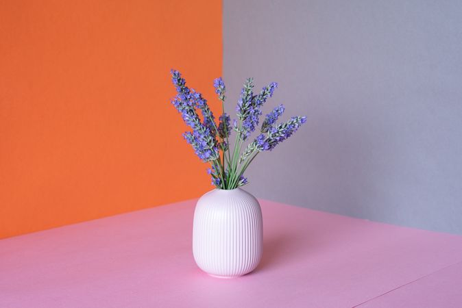 Vase of lavender flower in a multicolor background
