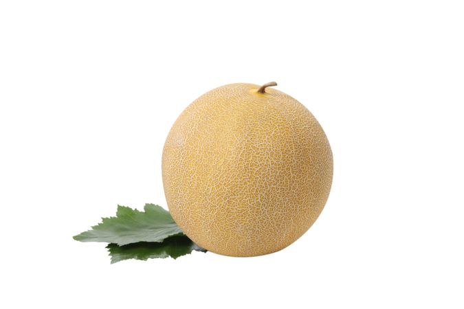 Fresh melon, isolated on plain background