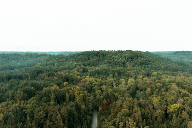 Drone aerial view with the Forest in a cold morning day