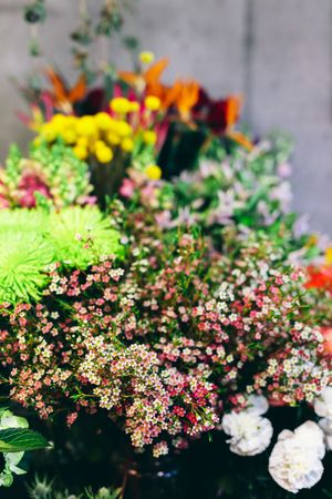 Spring flowers display in the flower shop.