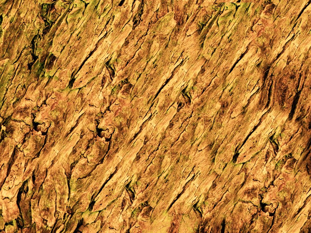 Dark Brown Wood Texture