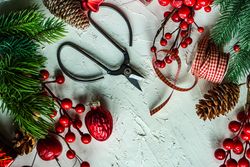 Green wintry branch with red decorations, scissors and ribbon on bright background