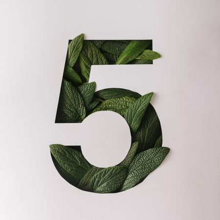 Number five shape cutout with green leaves