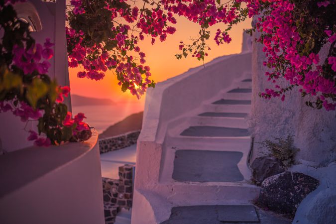 Sunset over the sea from a idyllic lane with bougainvillea flower vine