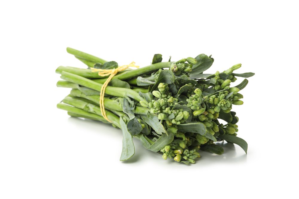Fresh green broccolini isolated on blank background