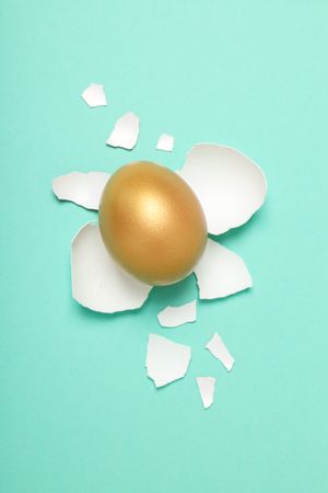 Golden egg, pension savings, investments and retirement