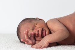 Newborn baby on soft blanket