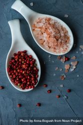 Top view of two bowls of Himalayan salt and red peppercorns on grey counter 5lVEK7