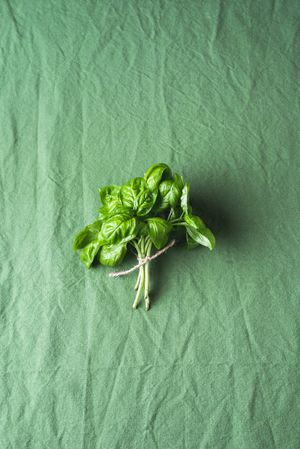 One basil bunch on a green tablecloth