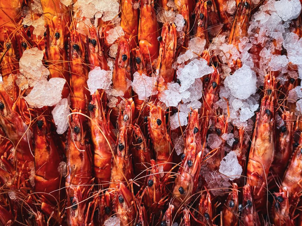 Fresh prawns in ice at market