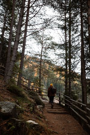 People looking at beautiful landscape