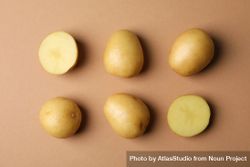 Two rows of potatoes on light brown background 5rj8d5