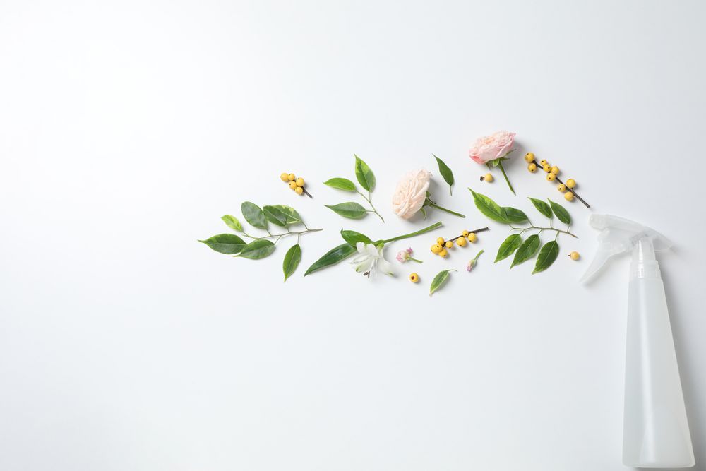 Detergents with fresh flowers on a plain background