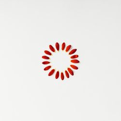 Flower petals arranged in circle